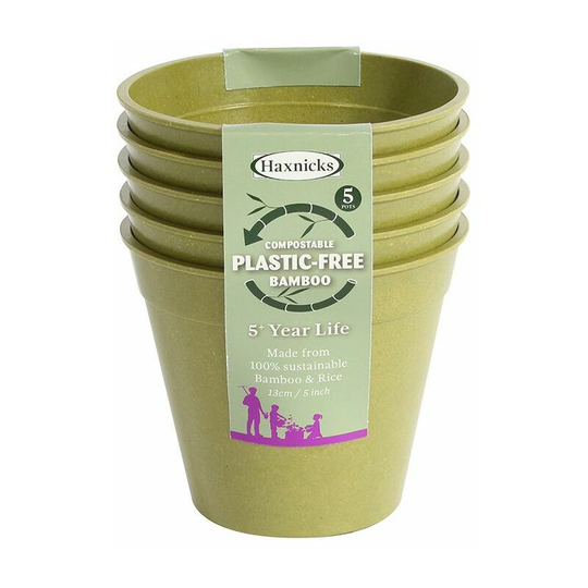 Haxnicks Bamboo Pot 5in Sage Green x 5 POT110101