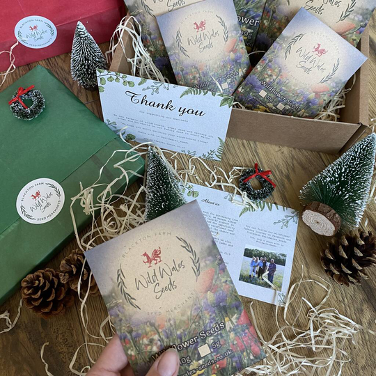 Welsh Wildflower Seed Gift Box Hamper