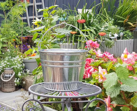 Zinc Bucket | Small