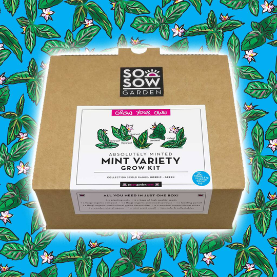 Mint Variety Grow Your Own Kit