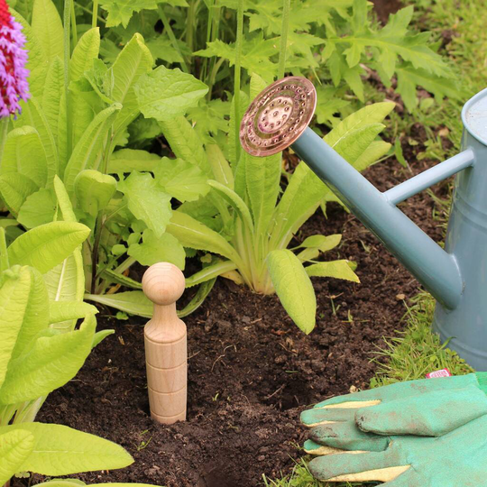 Large Wooden Garden Plant Dibber