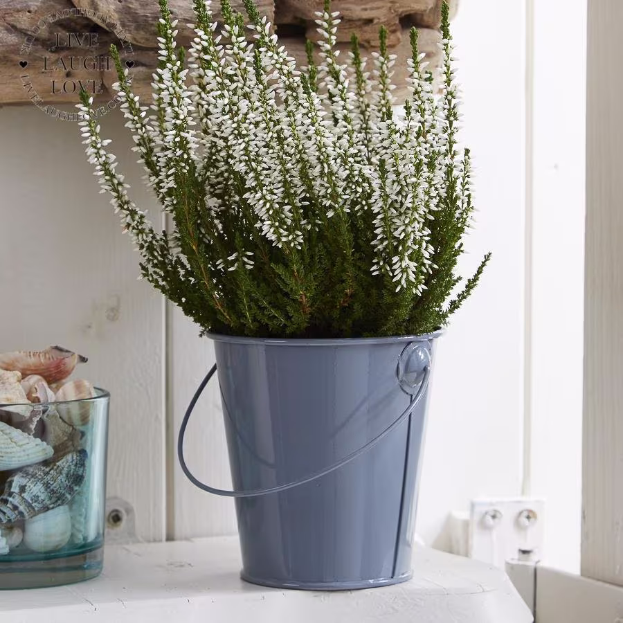 Small Painted Grey Metal Bucket/Planter