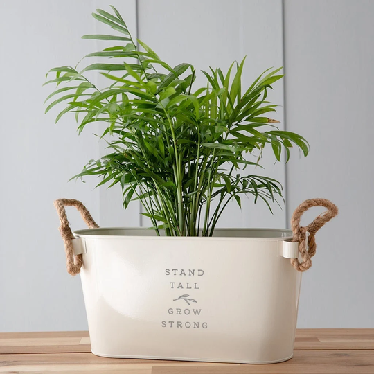 Engraved Metal Planter