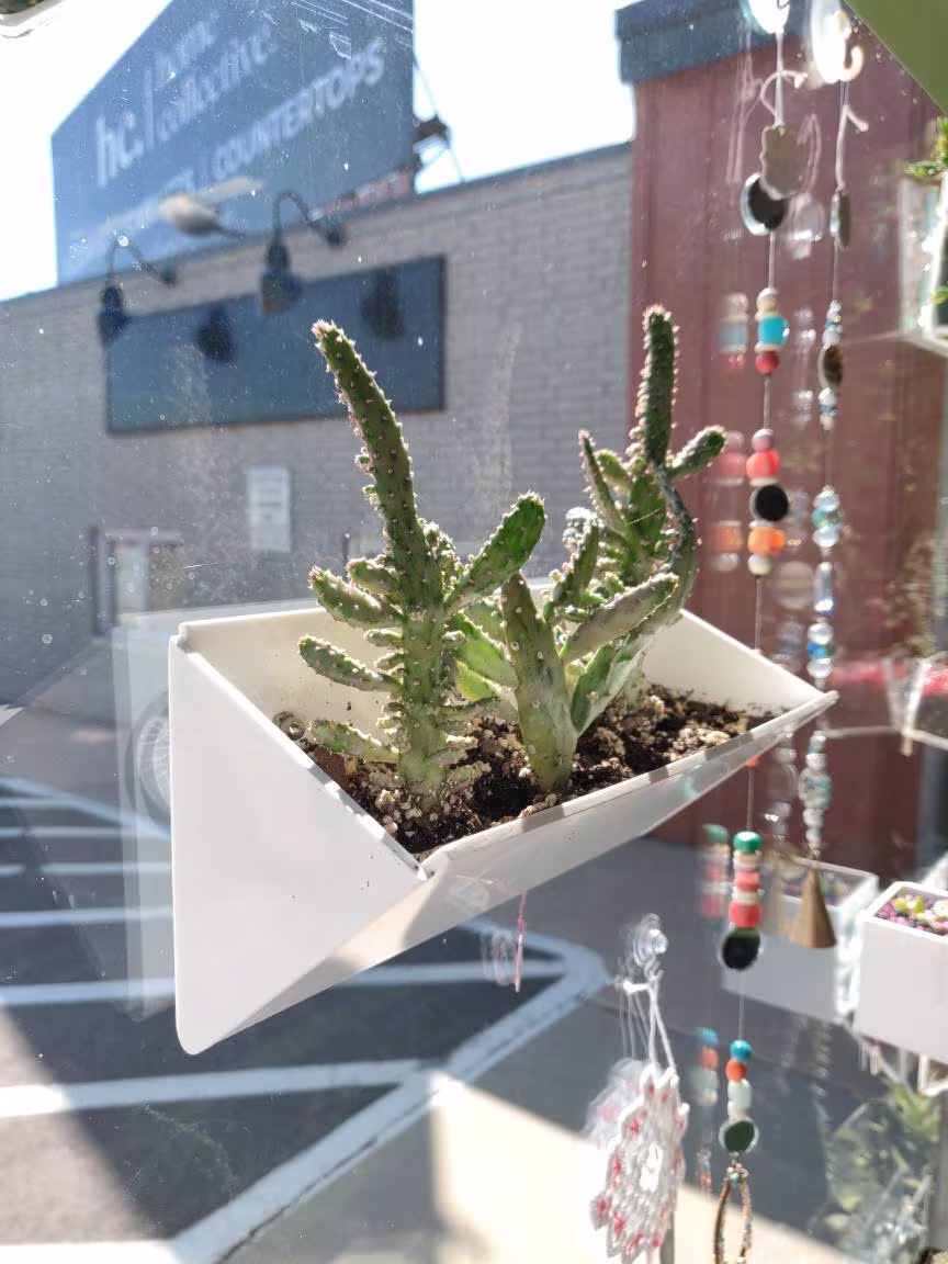 Suction Cup Window Planter - White Long Triangular Box Style 8" Long X 4