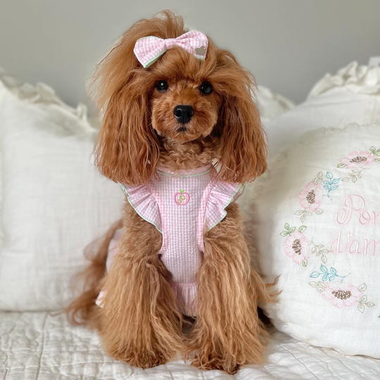 Gingham Organic Cotton Seersucker Small Dog Dress - Pomme D'amour