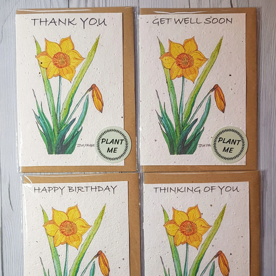 Daffodil Plantable Seeded Card Zero Waste Eco Friendly Tree Free Wild Flower Seeds Get Well Soon, Happy Birthday, Thankyou, Thinking Of You