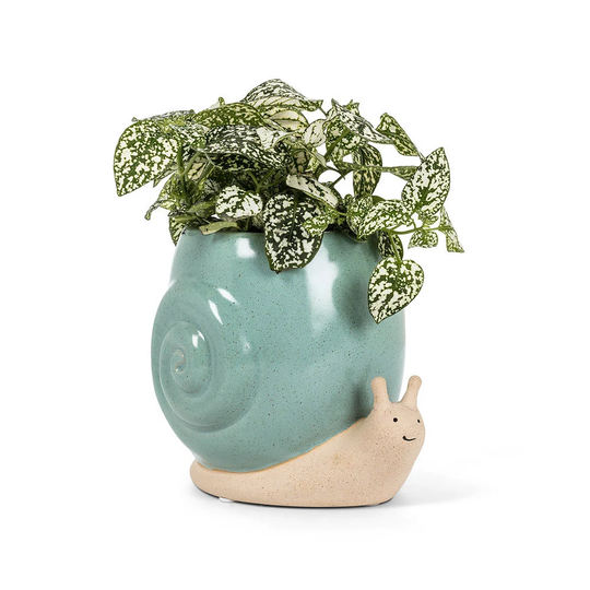 Garden Snail Planter For Succulents & Plants | Animal Succulent Face Cute Valentines Gift