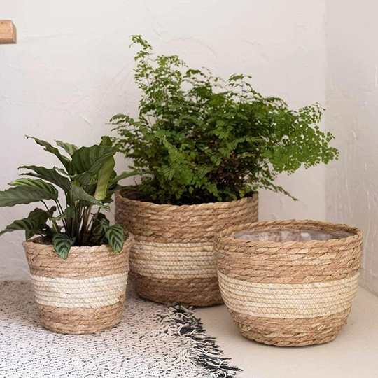 Briday - Set of 3 Seagrass Planter Basket Indoor Outdoor with Lid Flower Pot Beige (Diameter 26-18cm)