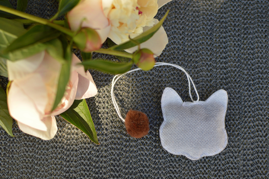 Cat Shaped Tea Bag 5 Peaces Lover Gift Tea