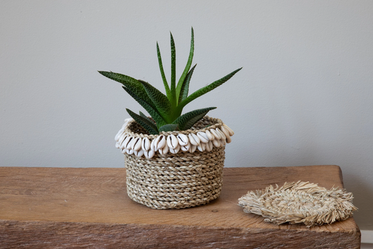 Cowrie Rimmed Wicker Basket Natural