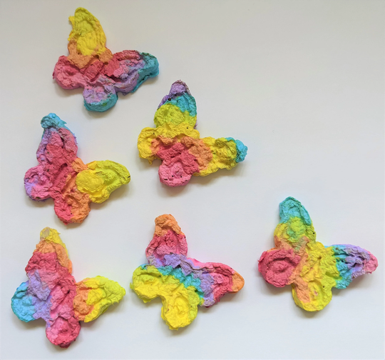 Rainbow Butterfly Seed Bombs Pack Of 2