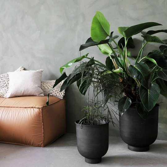 Planter, Vig, Grey