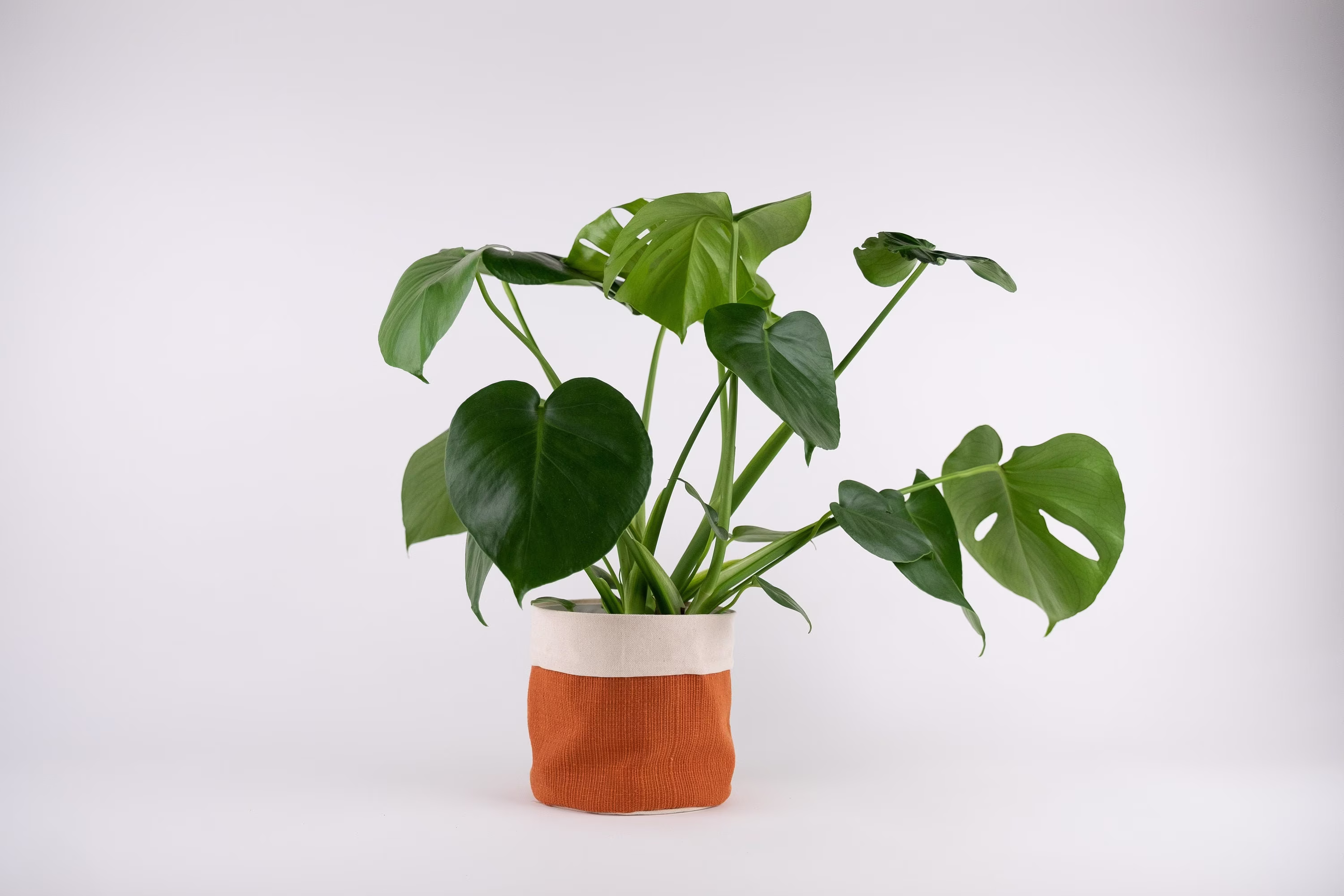 Canvas Plant Basket, Hanging Cloth Planter, Storage Fabric Cover