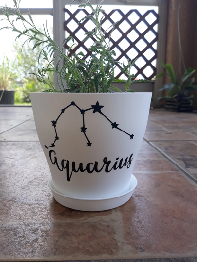Zodiac 6 Inch Constellation Planter Pot