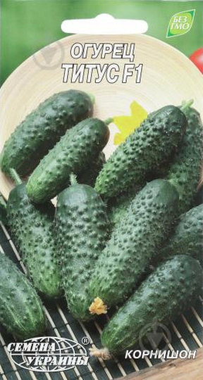 Rare Ukrainian Organic Heirloom Vegetable Cucumber Seeds "Titus F1