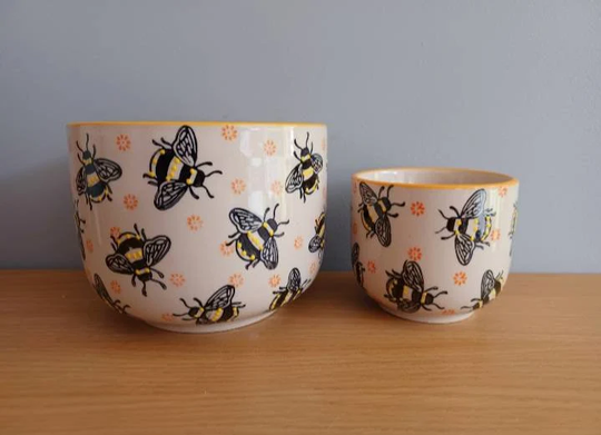 Bee Planters Set Of Two Plant Pot Flower Home Decor Gift Sass & Belle Free UK Postage