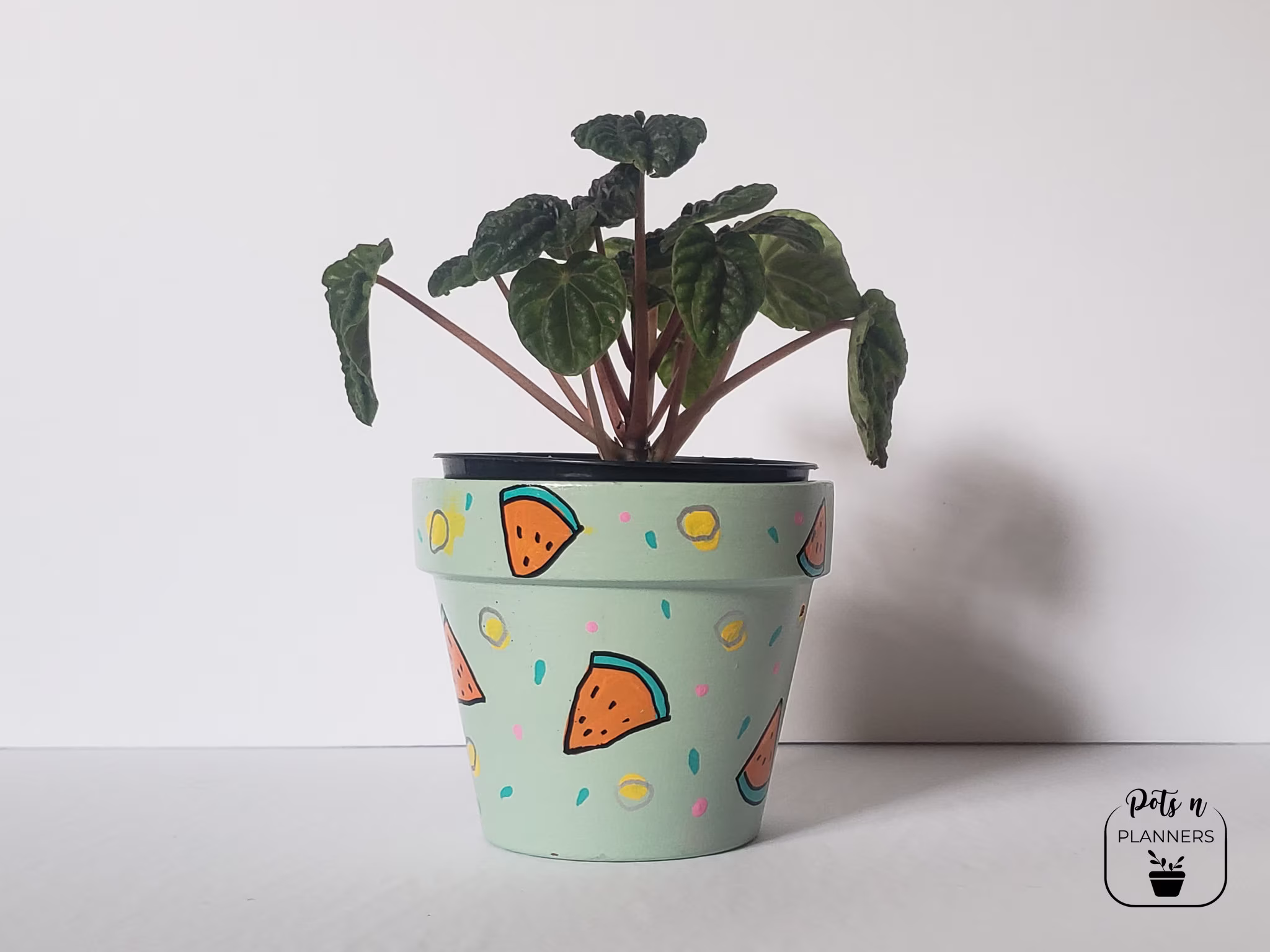 Watermelon Pot | Hand Painted Planter Terracotta Pots Clay Pot