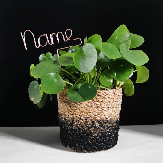 Personalised Name Plant Marker - Topper Lover Gift Customised Garden Herb Decor Home