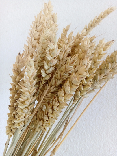 Organic Wheat Stalks Spray Bird Food Hamster Food Chinchilla Bundle Of Natural Gift Spray Foraging Treat Accessory Mice