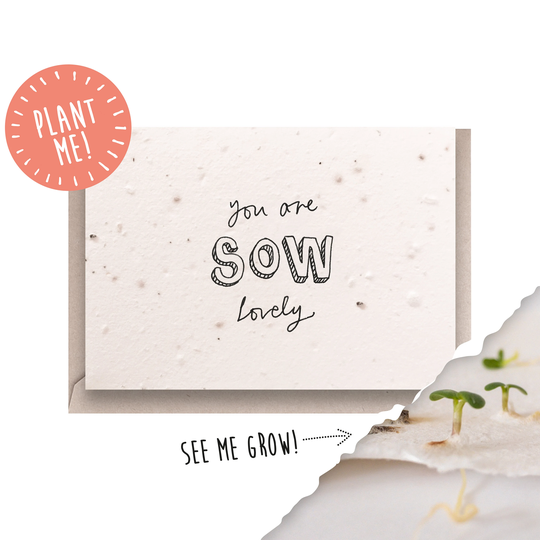 Plantable Seed Card Sow Lovely