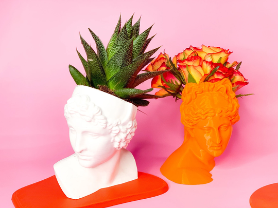 Bust Head Planter| Set Of 2| Planter Bundle Set |Head Planter|Greek Bust Planter|Succulent Planter|Desk Decor|Indoor Garden| Themax