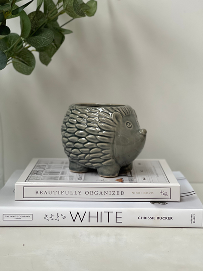 Small Textured Hedgehog Planter in Grey - Animal Plant Pots Indoor House Pot Quirky/Cute Ceramic Lover Gift