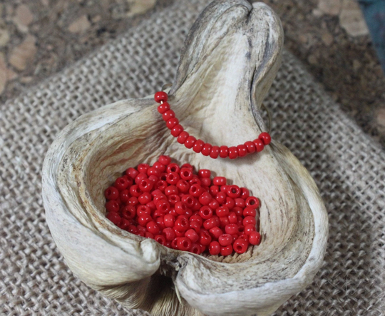 8/0 Opaque Red Miyuki Glass Seed Bead | 10G | B0005, Beads, Size 8 Seed Bead, Glossy Bead