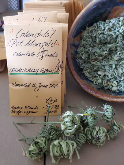 Calendula/Pot Marigold Seeds