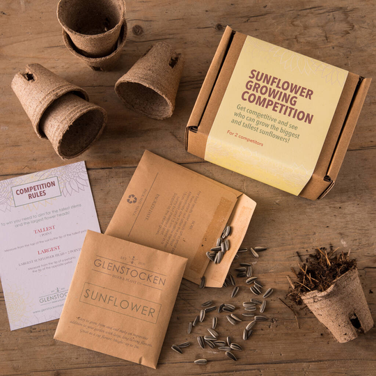 Sunflower Growing Competition Kit