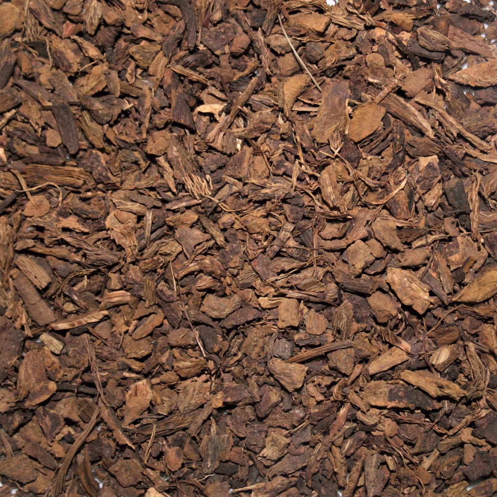 Rhubarb Root 8 Oz. Over 100 Bulk Herbs