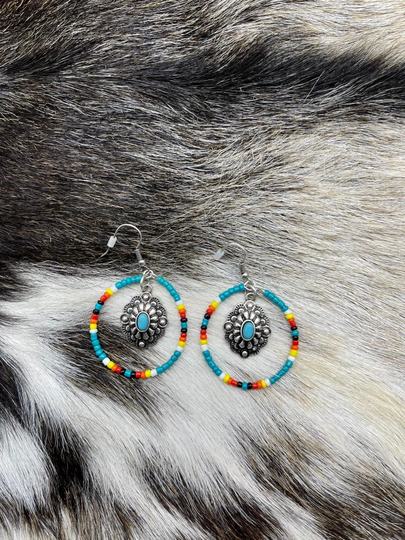 Multi-Color Seed Beaded Drop & Dangle Earrings