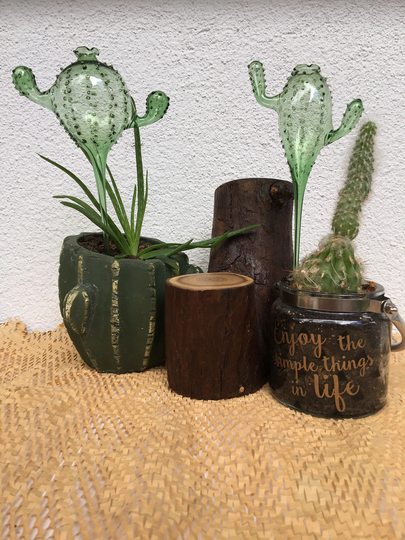 Cactus Theme Self Watering Plant Hand Blown Glass Decorative Kit Holiday System Garden Pot Waterers Christmas Gift
