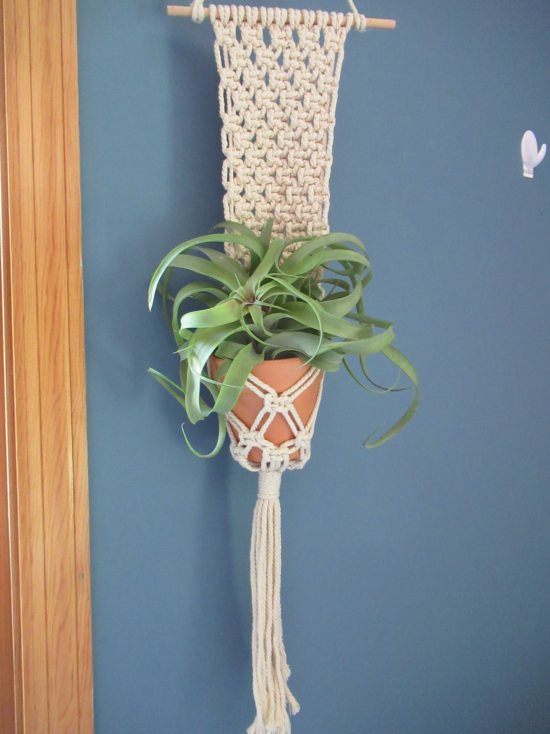 Air Plant Macrame Holder/Hanger - Tillandsia