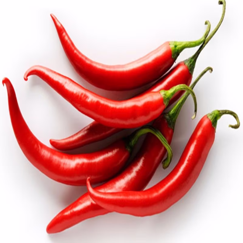 Pepper Chili Cayenne Seeds Heirloom Non Gmo For Planting | 203055