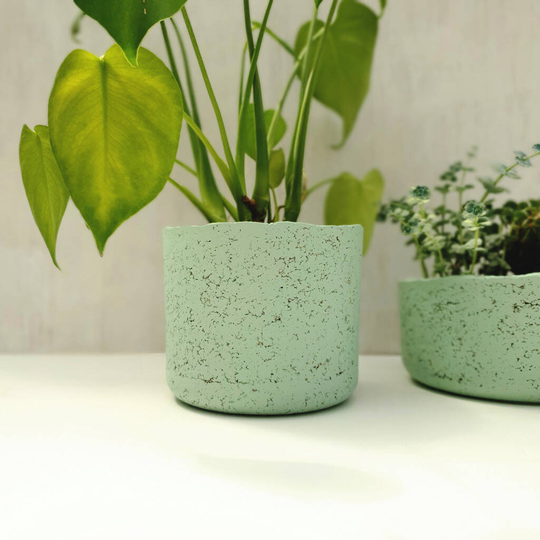 Mint Green Concrete And Recycled Paper Cylinder Planter