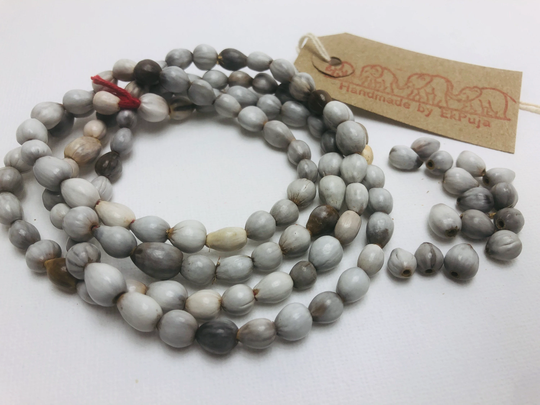 Vaijanti Loose Seeds Beads 100 Loose Vaijanti Seeds