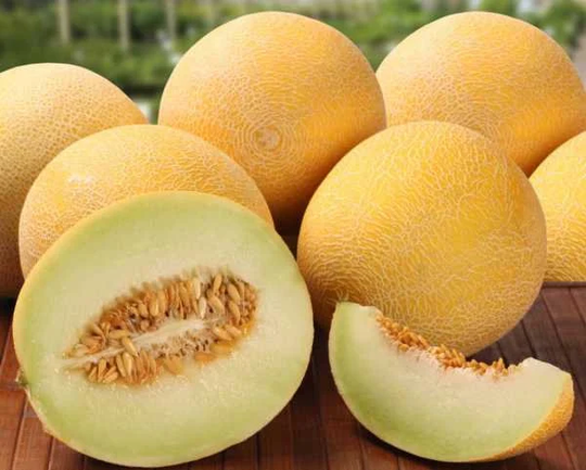 Melon Seeds Honey About 30
