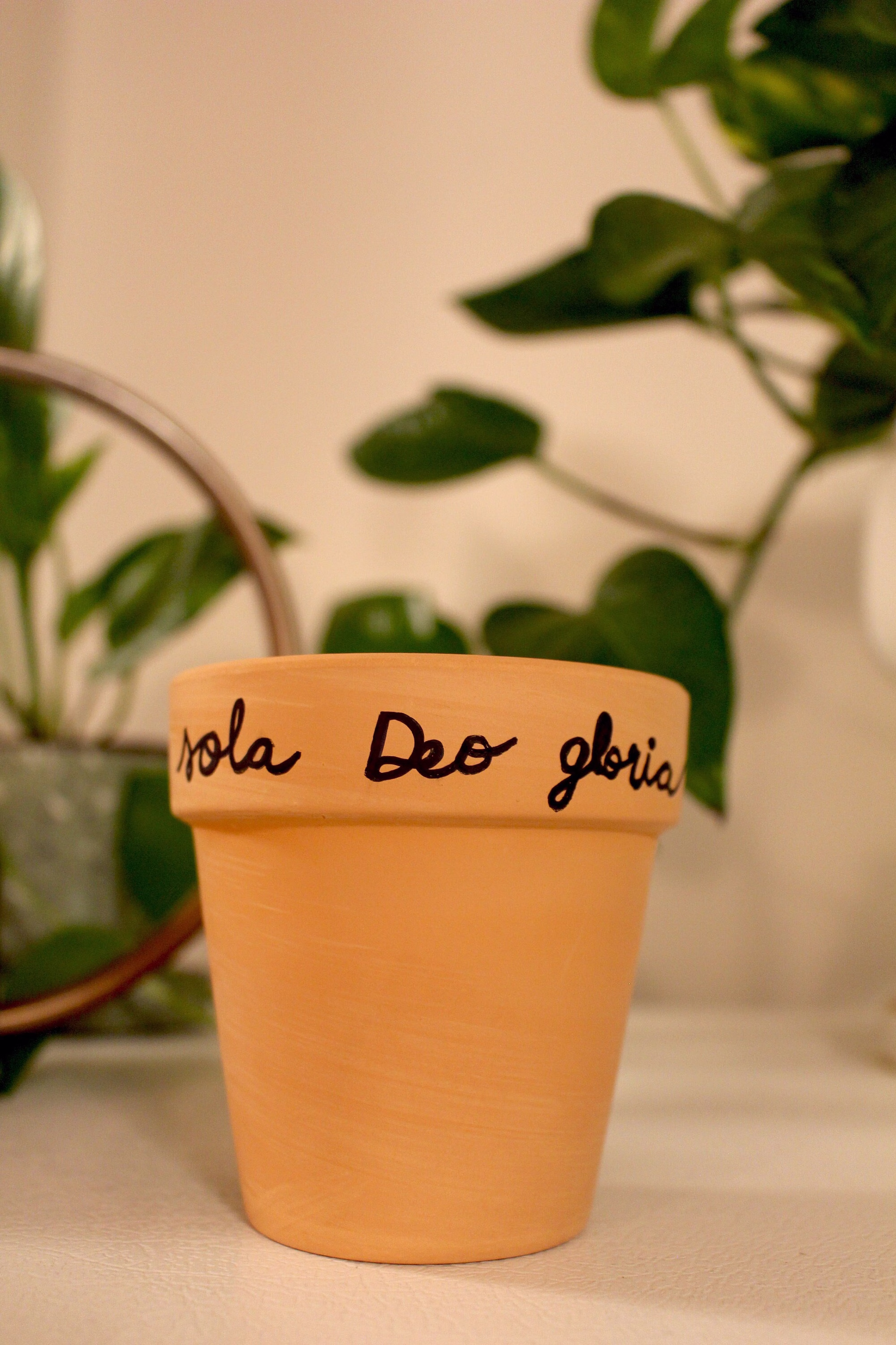 Christian Pot For Plant | Planter Soli Deo Gloria Writing Air Plant Holder Clay Pot Gift Reformed Theology