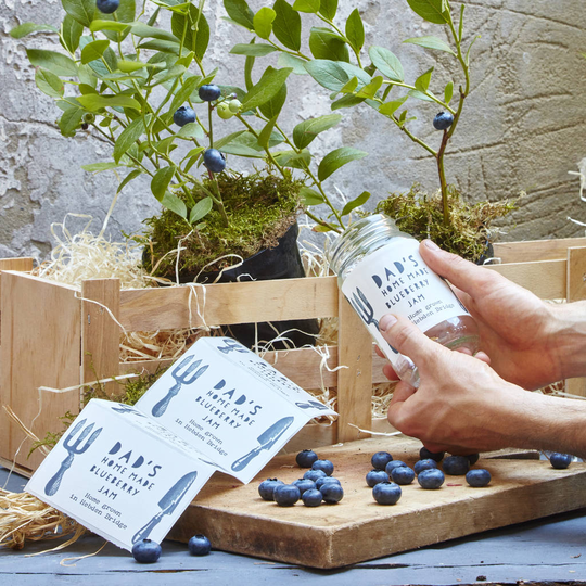 Grow Your Own Blueberry Jam Gift, Blue