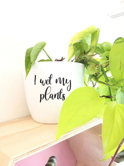 Diy Decal For Pot Planter I Wet My Plants Funny