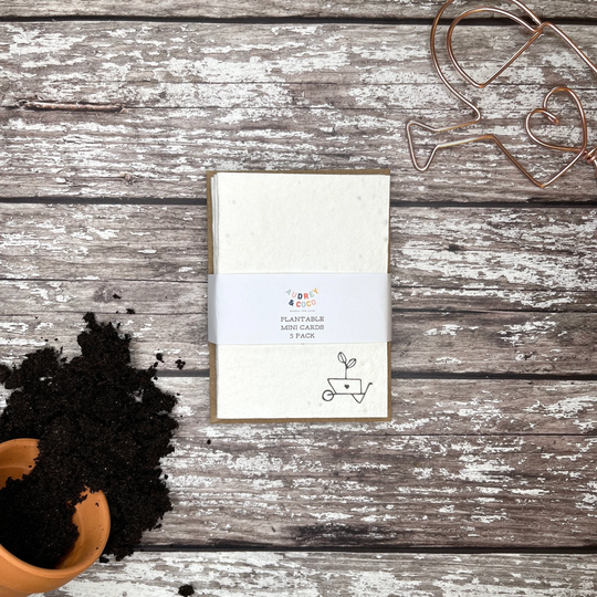 Plantable Seed Mini Cards, Plantable Card 5 Pack