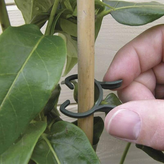 100PCS Garden Plant Clips Vines Flower Clips Adjusting Support Plant Clip Vines Flower Clips Climbing Plants Support Plastic Spring Peg Clamps (S:2.4
