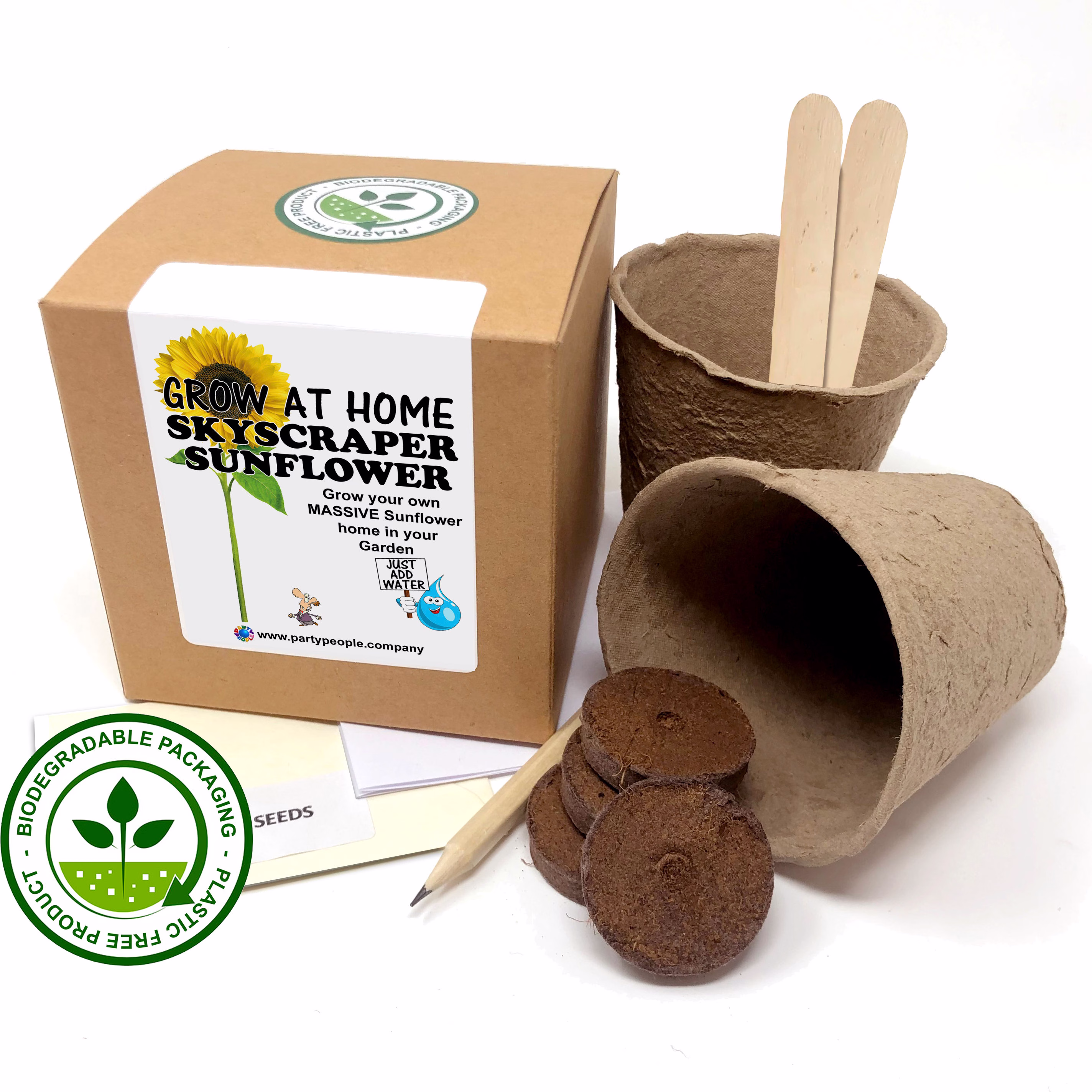 Grow Your Own Skyscraper Sunflower Kit At Home - Ideal Birthday Gift, Great Fathers Day Gift