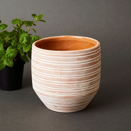 Bangladesh Medium Rustic Striped Succulent Terracotta Pot