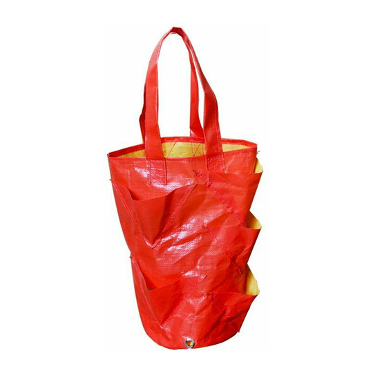 Kartokner - Orange Bag Aromatic PlantsStrawberry PlantingPlant Grow Bag pe Pocket Planting Side Vegetable Bags for Strawberries Herbs Tomato Apple