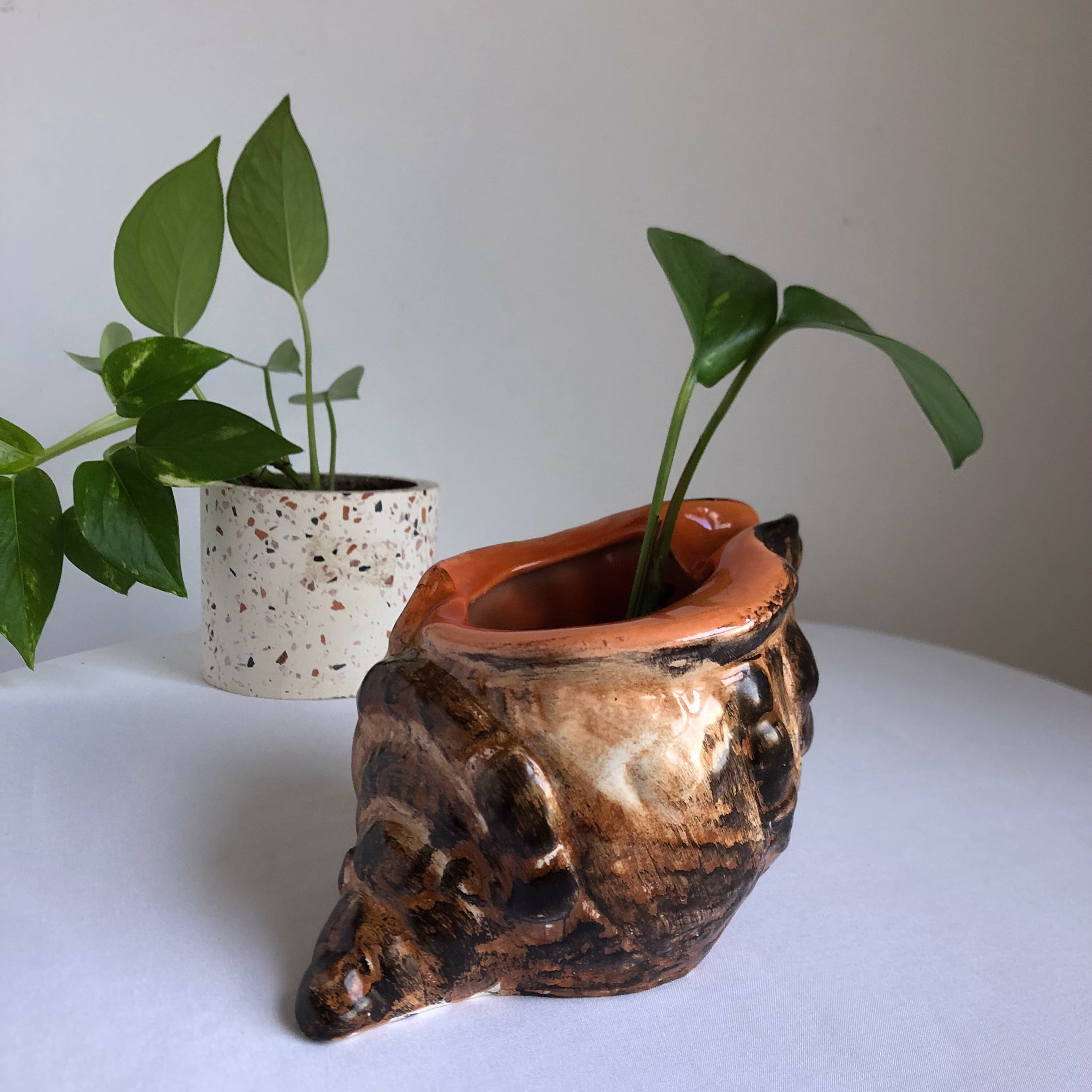 Vtg Seashell Planter, Vintage Conch Brown Seashell, Beach Decor, Cottagecore Jungalow Italian Planter