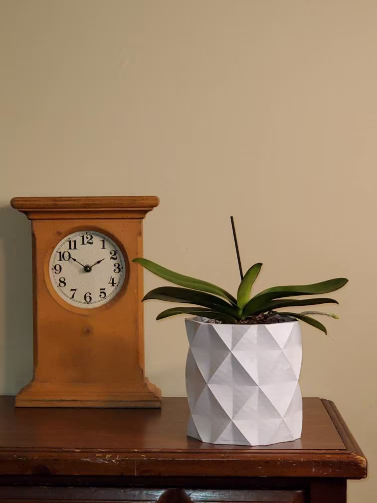 3D Printed | Small Geometric Flower Pot With Drainage