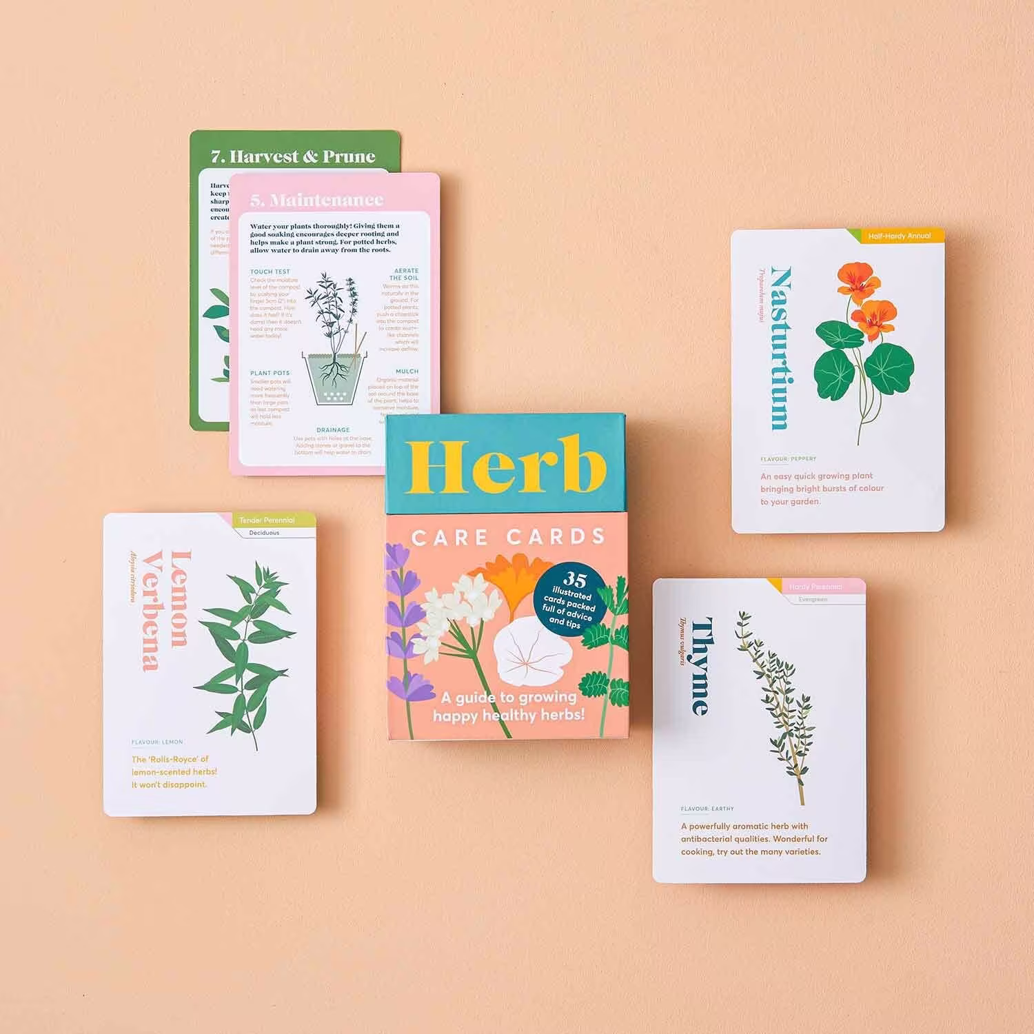 Herb Care Guide Advice, Tips & Maintenance For Healthy Herbs