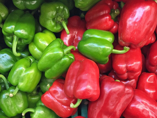 California Wonder Bell Pepper Seeds 10+ Ships Free