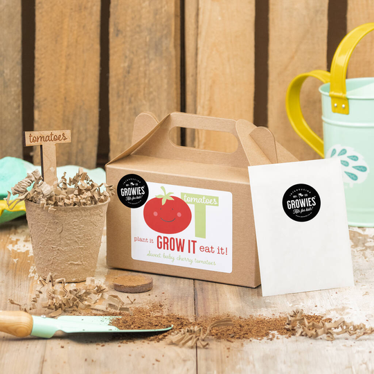 Kids Garden Tomato Growing Seed Kit